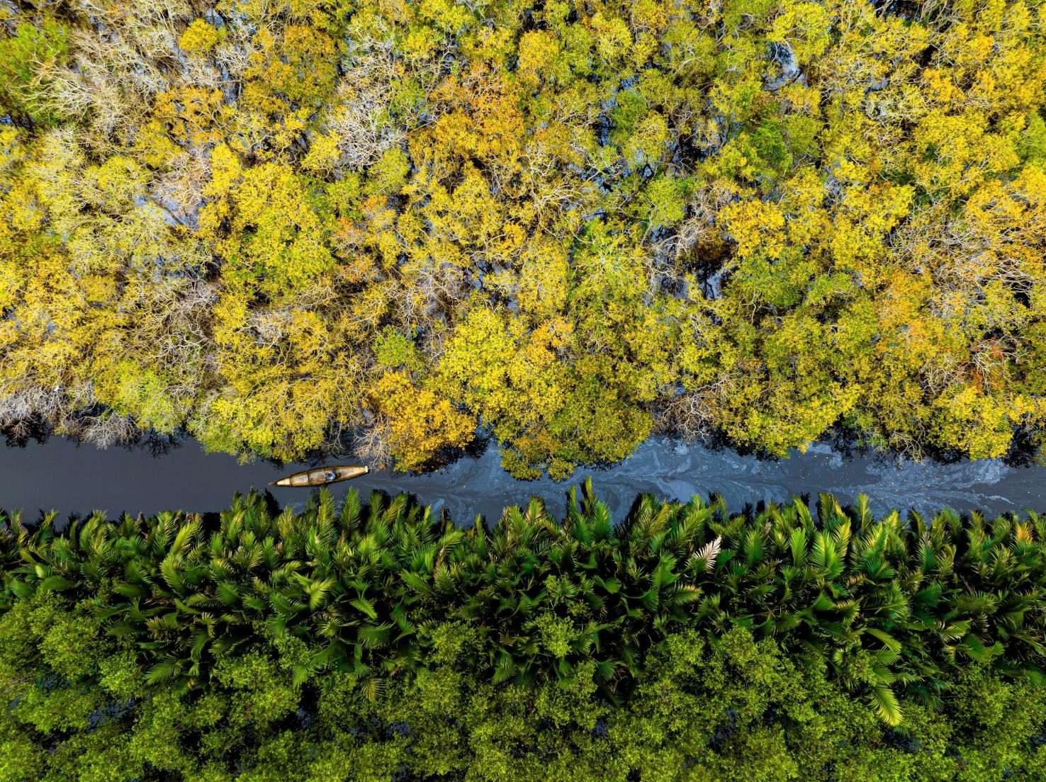 Rừng ngập mặn Rú Chá 